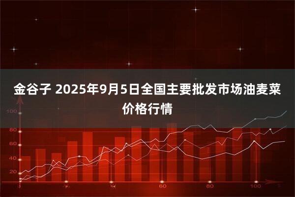 金谷子 2025年9月5日全国主要批发市场油麦菜价格行情