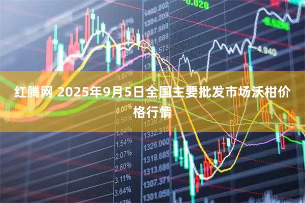 红腾网 2025年9月5日全国主要批发市场沃柑价格行情