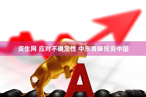 资生网 应对不确定性 中东青睐投资中国