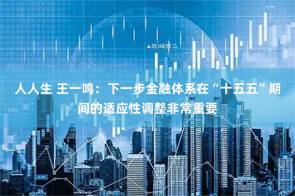 人人生 王一鸣：下一步金融体系在“十五五”期间的适应性调整非常重要