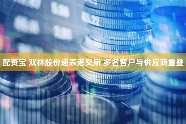 配资宝 双林股份递表港交所 多名客户与供应商重叠