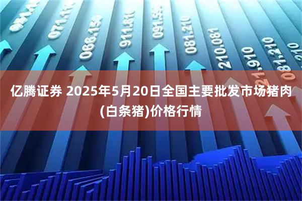 亿腾证券 2025年5月20日全国主要批发市场猪肉(白条猪)价格行情