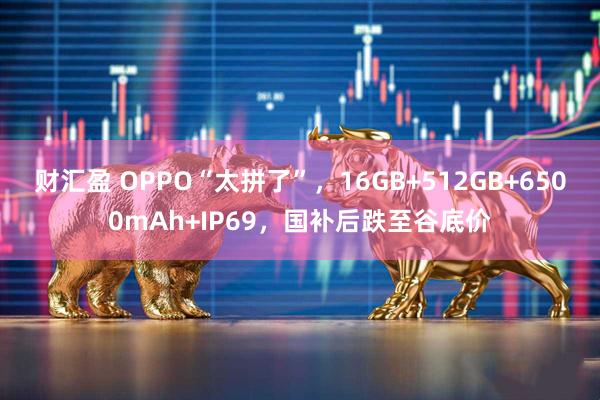 财汇盈 OPPO“太拼了”，16GB+512GB+6500mAh+IP69，国补后跌至谷底价